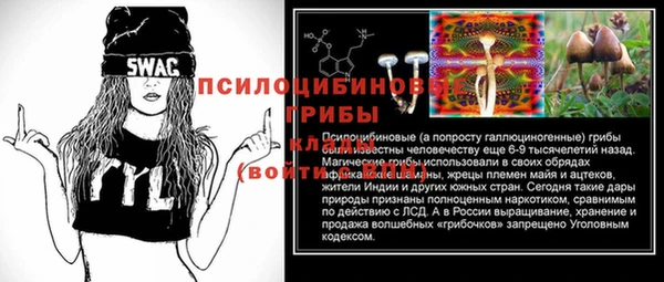 стаф Алексеевка
